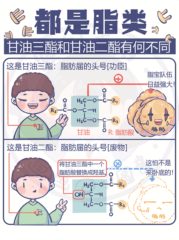 都是脂類甘油三酯和甘油二酯有何不同？